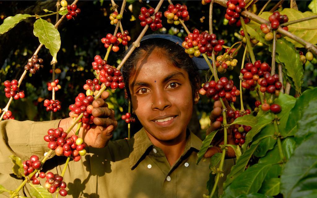 מלון Siddāpur Evolve Back Coorg מראה חיצוני תמונה